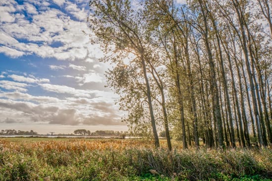 Omgeving Terherne langs de waterkant